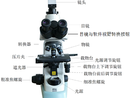 塑料管材检测用炭黑分散度测定仪原理